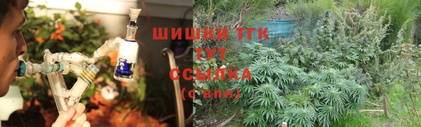 индика Богданович